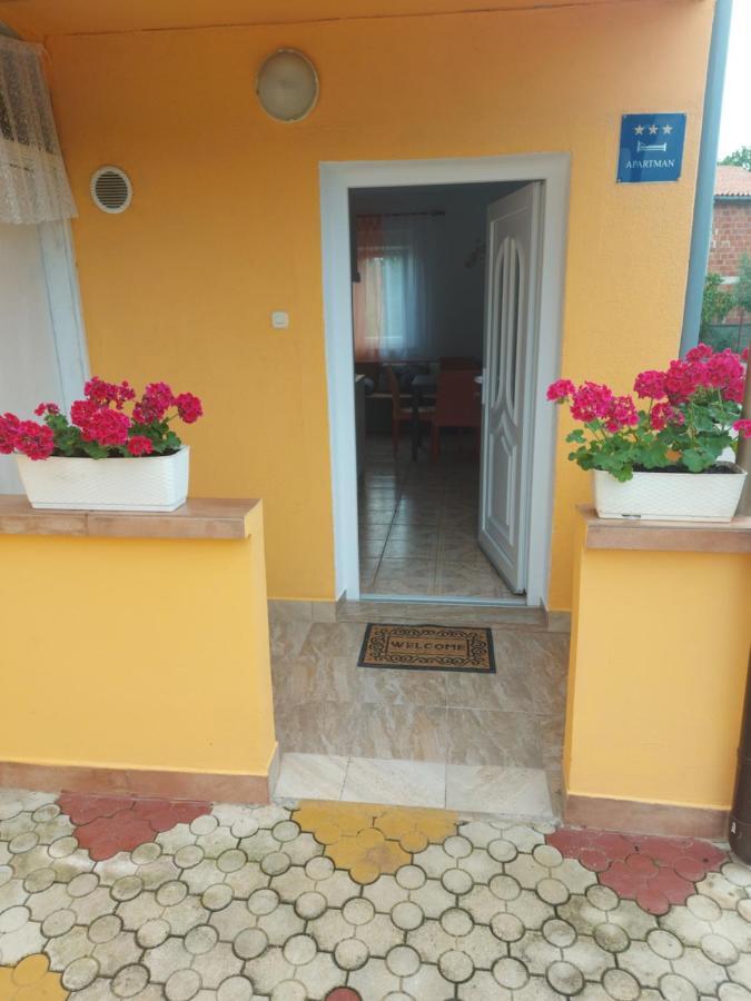 Apartman Sneky Vodnjan Exterior photo